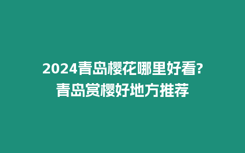 2024青島櫻花哪里好看?青島賞櫻好地方推薦