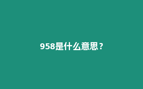 958是什么意思？