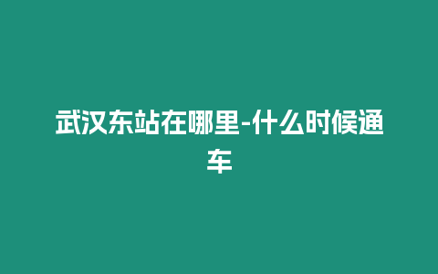 武漢東站在哪里-什么時候通車