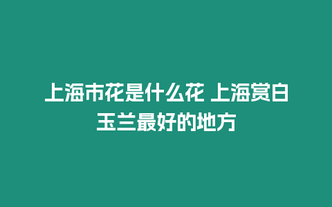 上海市花是什么花 上海賞白玉蘭最好的地方