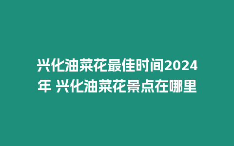 興化油菜花最佳時間2024年 興化油菜花景點在哪里