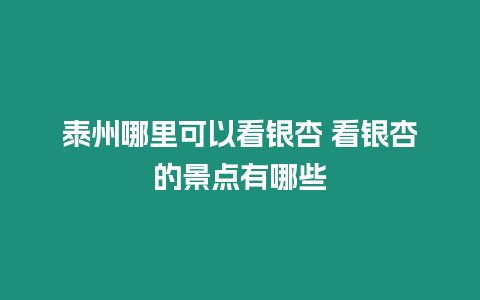 泰州哪里可以看銀杏 看銀杏的景點有哪些