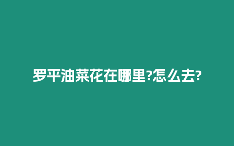 羅平油菜花在哪里?怎么去?