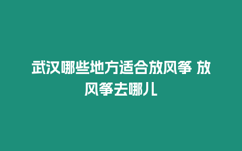 武漢哪些地方適合放風箏 放風箏去哪兒