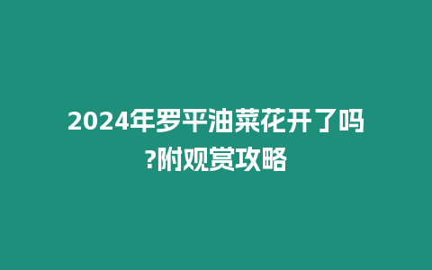 2024年羅平油菜花開了嗎?附觀賞攻略