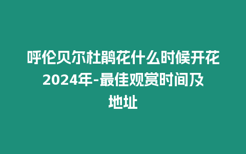 呼倫貝爾杜鵑花什么時候開花2024年-最佳觀賞時間及地址