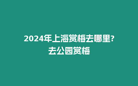 2024年上海賞梅去哪里?去公園賞梅