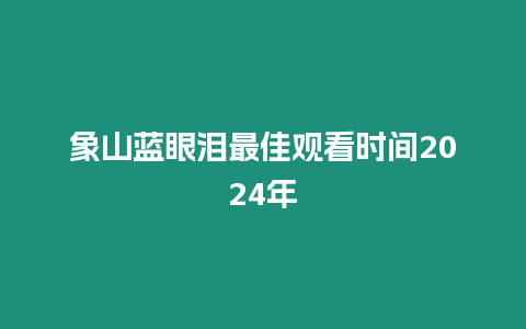 象山藍眼淚最佳觀看時間2024年