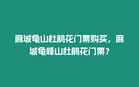 麻城龜山杜鵑花門票購買，麻城龜峰山杜鵑花門票？