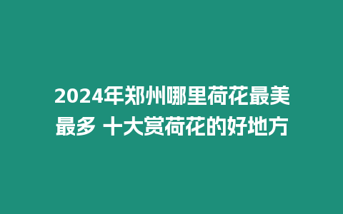 2024年鄭州哪里荷花最美最多 十大賞荷花的好地方