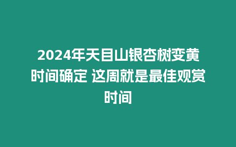 2024年天目山銀杏樹變黃時間確定 這周就是最佳觀賞時間