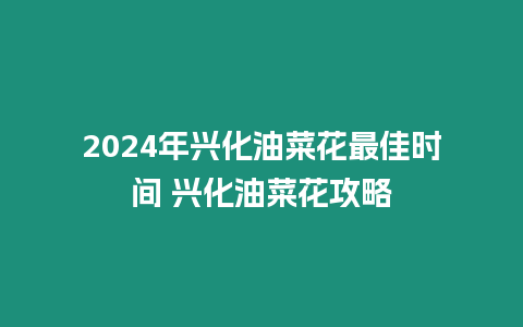 2024年興化油菜花最佳時間 興化油菜花攻略