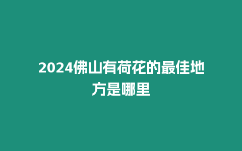 2024佛山有荷花的最佳地方是哪里