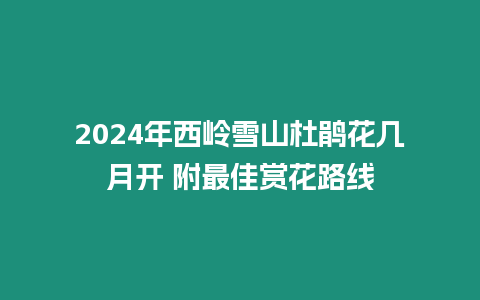 2024年西嶺雪山杜鵑花幾月開(kāi) 附最佳賞花路線