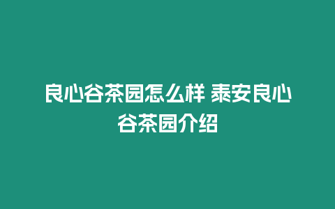 良心谷茶園怎么樣 泰安良心谷茶園介紹