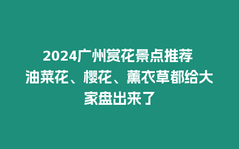 2024廣州賞花景點推薦 油菜花、櫻花、薰衣草都給大家盤出來了