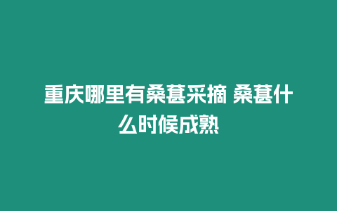 重慶哪里有桑葚采摘 桑葚什么時候成熟