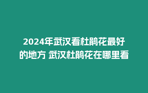 2024年武漢看杜鵑花最好的地方 武漢杜鵑花在哪里看