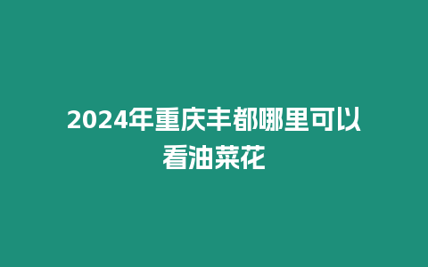 2024年重慶豐都哪里可以看油菜花