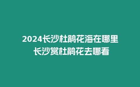 2024長沙杜鵑花海在哪里 長沙賞杜鵑花去哪看