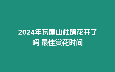 2024年瓦屋山杜鵑花開了嗎 最佳賞花時間