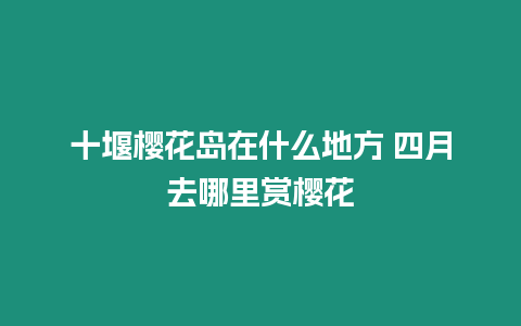 十堰櫻花島在什么地方 四月去哪里賞櫻花