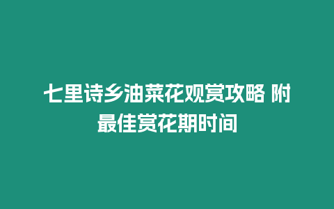 七里詩鄉油菜花觀賞攻略 附最佳賞花期時間