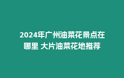 2024年廣州油菜花景點在哪里 大片油菜花地推薦