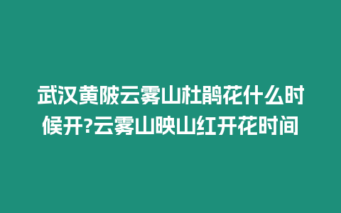 武漢黃陂云霧山杜鵑花什么時候開?云霧山映山紅開花時間