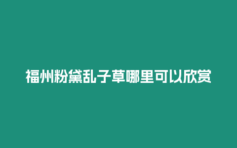 福州粉黛亂子草哪里可以欣賞