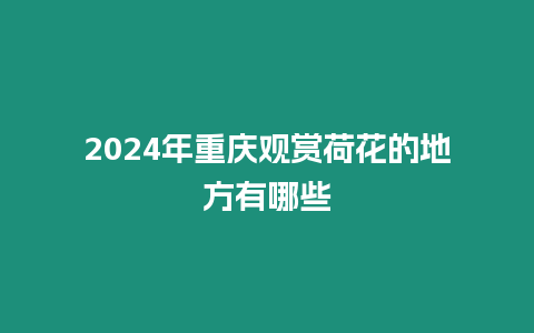 2024年重慶觀賞荷花的地方有哪些