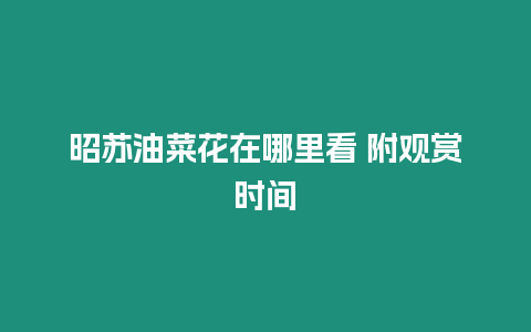 昭蘇油菜花在哪里看 附觀賞時間