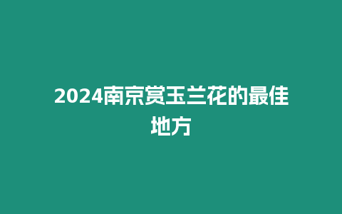 2024南京賞玉蘭花的最佳地方