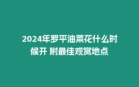 2024年羅平油菜花什么時候開 附最佳觀賞地點