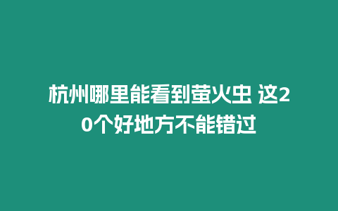 杭州哪里能看到螢火蟲 這20個好地方不能錯過