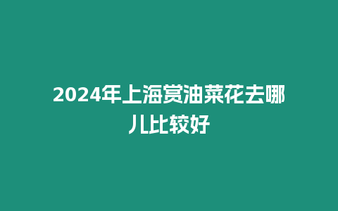 2024年上海賞油菜花去哪兒比較好