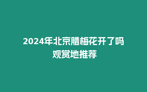 2024年北京臘梅花開了嗎 觀賞地推薦