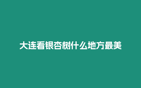 大連看銀杏樹什么地方最美