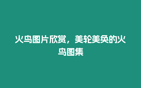 火鳥圖片欣賞，美輪美奐的火鳥圖集