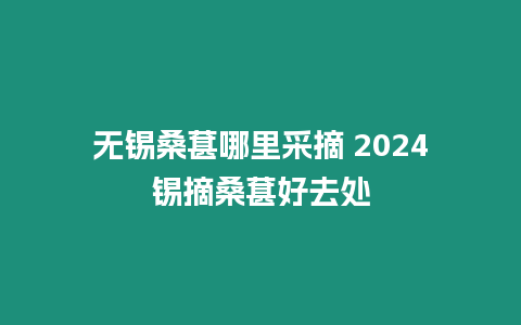 無錫桑葚哪里采摘 2024錫摘桑葚好去處