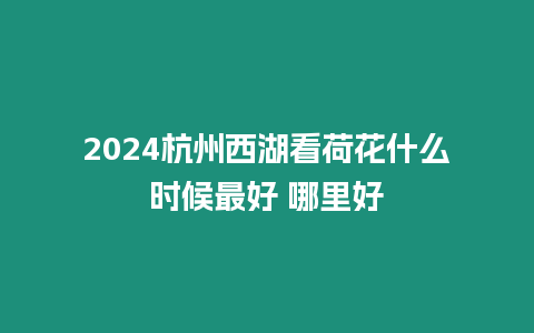 2024杭州西湖看荷花什么時候最好 哪里好