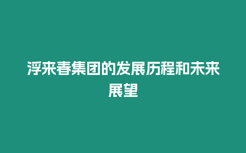 浮來春集團的發展歷程和未來展望