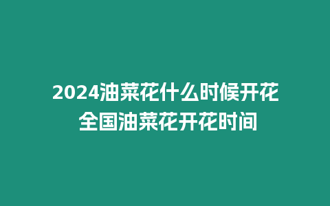 2024油菜花什么時候開花 全國油菜花開花時間