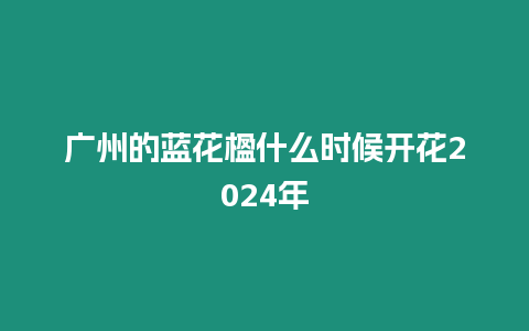 廣州的藍花楹什么時候開花2024年