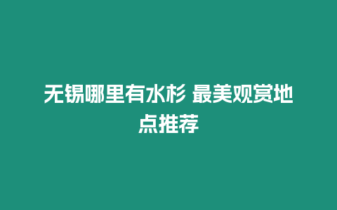 無錫哪里有水杉 最美觀賞地點推薦