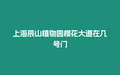 上海辰山植物園櫻花大道在幾號門