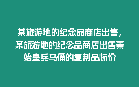 某旅游地的紀念品商店出售，某旅游地的紀念品商店出售秦始皇兵馬俑的復制品標價