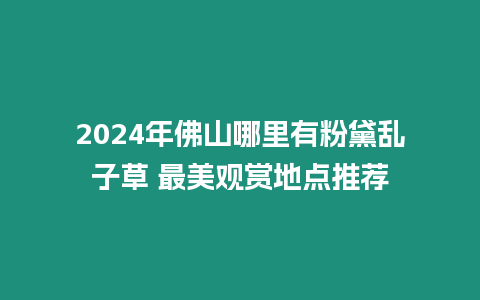 2024年佛山哪里有粉黛亂子草 最美觀賞地點推薦