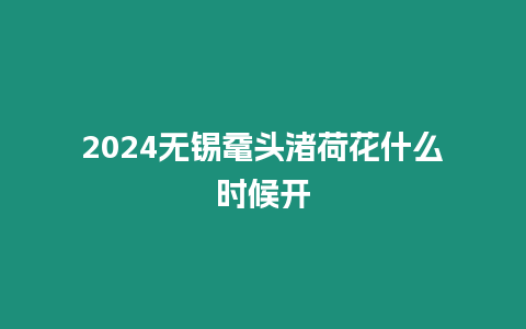 2024無錫黿頭渚荷花什么時候開