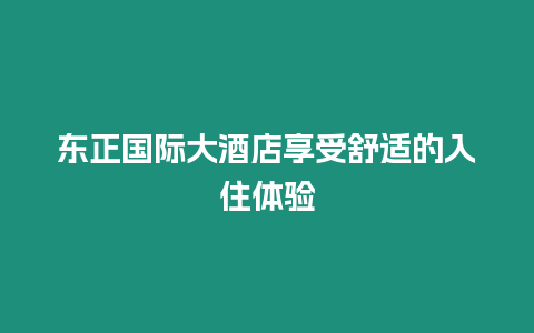 東正國際大酒店享受舒適的入住體驗